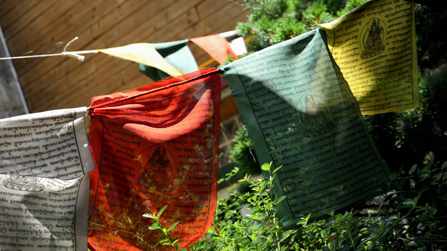 drapeaux de prière dans le jardin du centre