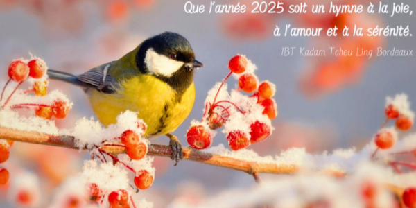 Meilleurs voeux pour cette année 2025